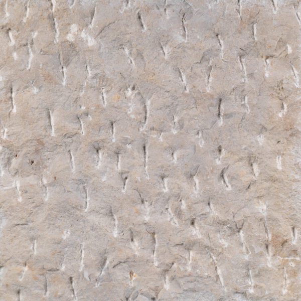 Franken Schotter - Dietfurt Limestone gala beige, hand chiseled